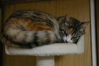 haruka1223.jpg