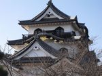 hikone1.jpg