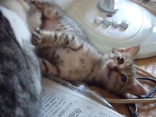 nanako08111.jpg