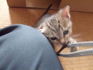 nanako08114.jpg