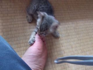 nanako08115.jpg